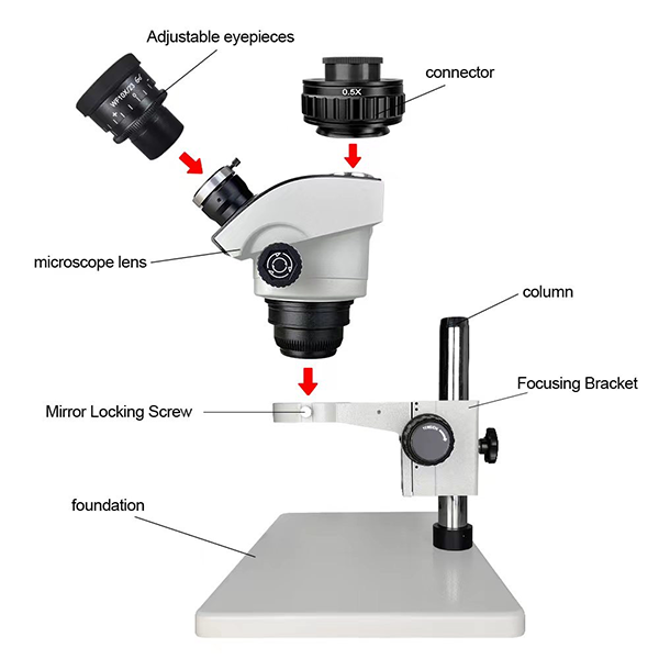 Stereo Zoom Microscope Diagram